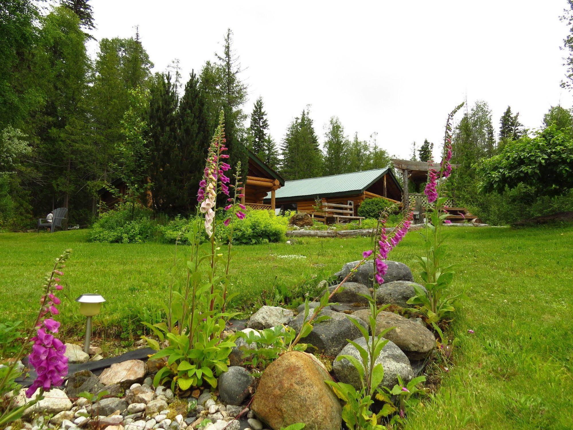 Cedar Haven Cabins And Resort Clearwater Zewnętrze zdjęcie
